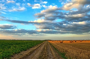 Congressional candidates outline agricultural priorities