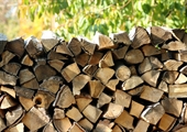 Hot tips for sourcing your firewood locally