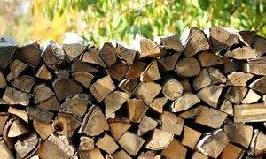 Hot tips for sourcing your firewood locally