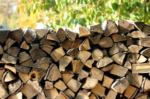 Hot tips for sourcing your firewood locally