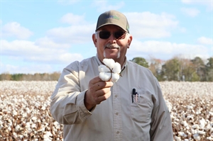 Grown in few counties, Virginia cotton still looms large