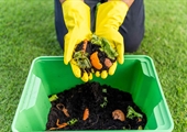 Reap the benefits of backyard composting