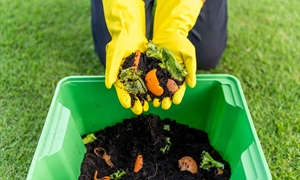 Reap the benefits of backyard composting