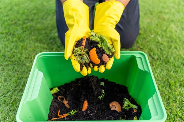 Reap the benefits of backyard composting