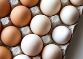 Highly pathogenic avian influenza driving egg prices higher