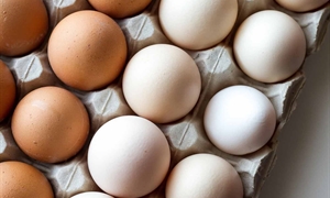 Highly pathogenic avian influenza driving egg prices higher