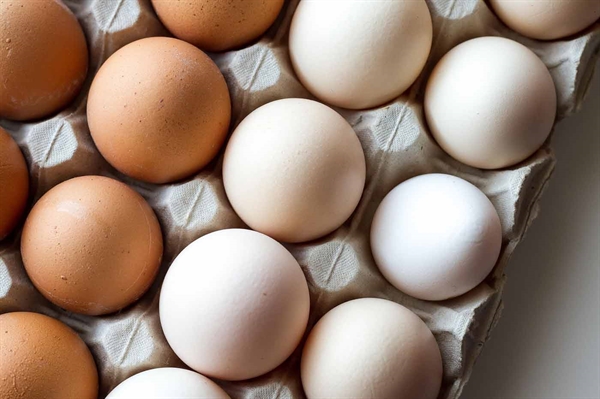 Highly pathogenic avian influenza driving egg prices higher