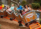Make May an adventure with Dollywood discounts