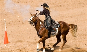 Witness an array of action-packed contests