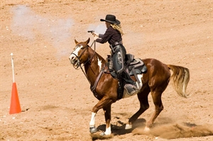 Witness an array of action-packed contests
