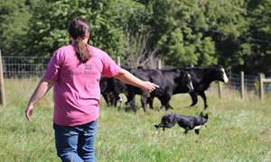 Farm dog nominations accepted through July 11