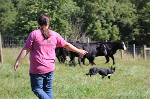 Farm dog nominations accepted through July 11