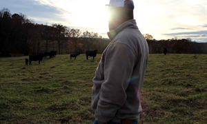 AFBF encouraging farmers to take ‘one step’ toward wellness during Mental Health Awareness Month