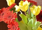 Extra attention helps cut flowers stay vibrant longer