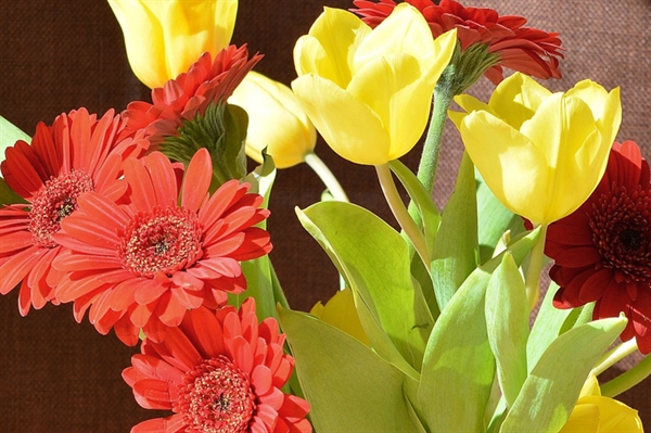 Extra attention helps cut flowers stay vibrant longer