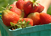 Serve some strawberry soup this spring