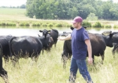 Family raising quality bulls for more than 70 years