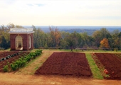 Monticello’s agrarian roots still growing today