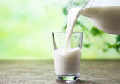 ‘Buy cow milk, not nut juices’ to help dairy farmers