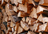 Buy and burn local firewood