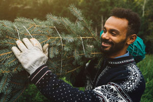 Make the holidays last longer—plant your Christmas tree