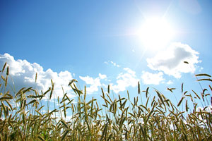 Farmers’ outdoor work can increase skin cancer risk