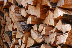 Buy and burn local firewood