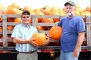 Farmers’ fall features more than 50,000 pumpkins
