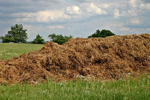 Farmers invited to free manure-management workshops