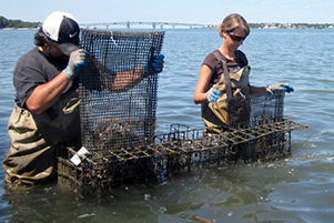 Group seeks common ground for future growth of aquaculture industry