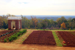 Monticello’s agrarian roots still growing today