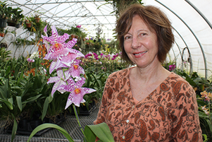 Virginia orchid growers dig into a thriving market