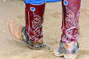 Kick up your heels at this year’s Virginia Horse Festival