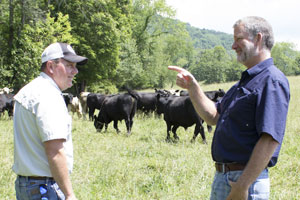 Beef sticks newest niche for grass-fed farm