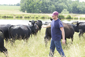 Family raising quality bulls for more than 70 years