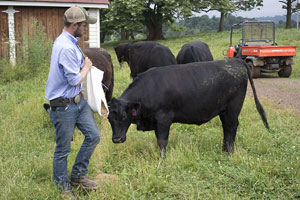 Large cattle operation credits success to teamwork