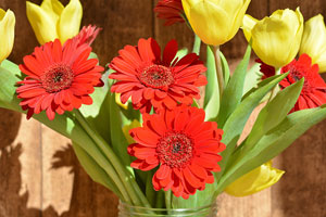 Extra attention helps cut flowers stay vibrant longer