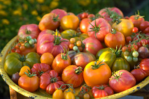 Heirloom tomatoes enhance the taste of summer