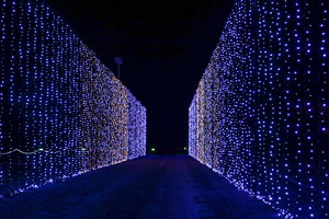 Illuminate Light Show & Santa’s Village wows crowds for third year in a row