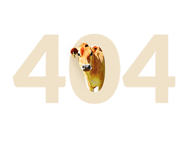 404-cow