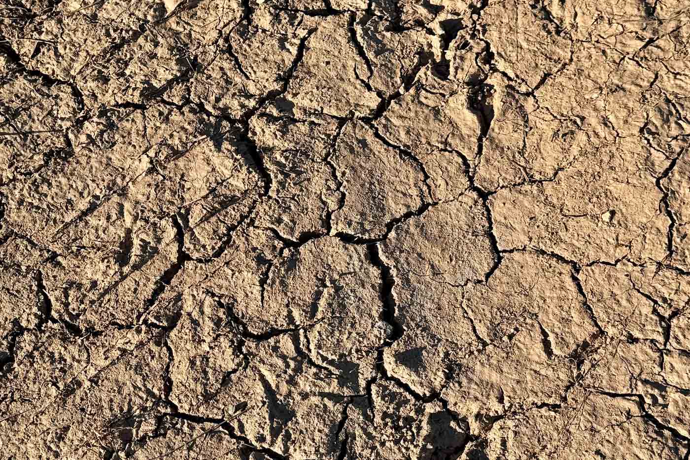 Emergency loans available for farmers in nine counties designated natural disaster areas